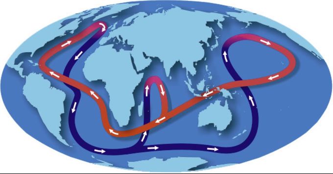 Golfstrømmen er en del av en global strømning i havene. Rød strek er varmt overflatevann. Blå er kaldt vann som strømmer på bunnen av havene. Kilde: North Carolina Climate Office  https://climate.ncsu.edu/edu/OceanCirculation